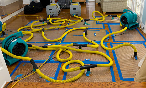 Professional Sewage Cleanup technician working in Silverhill, AL